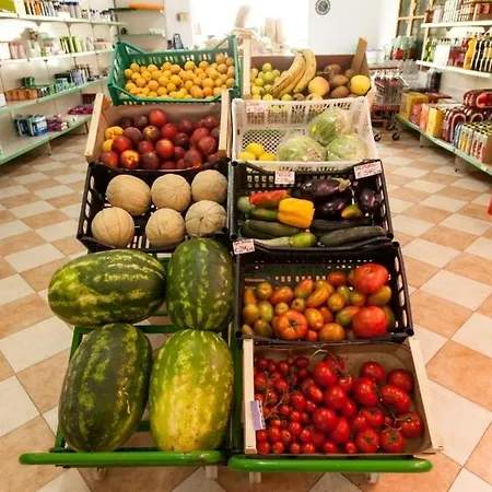 假日公园 杨树林露营及公寓酒店 瓦斯托