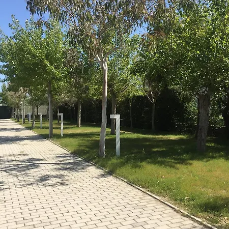 杨树林露营及公寓酒店 *